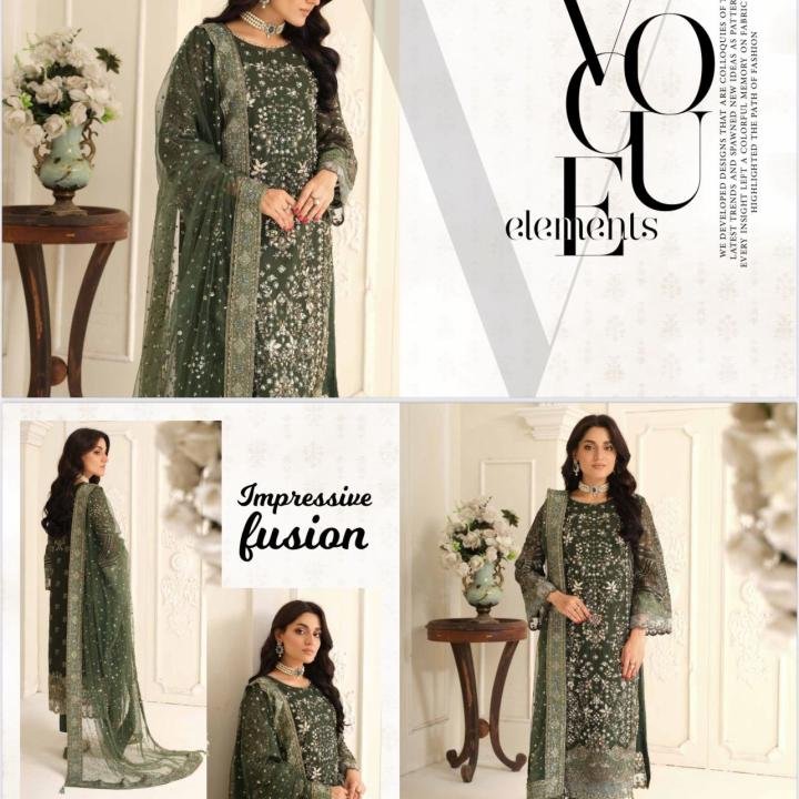 Pakistani Dress - WA0019